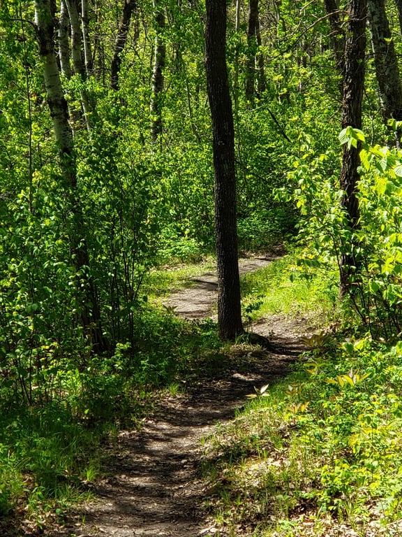 Lake Metigoshe State Park