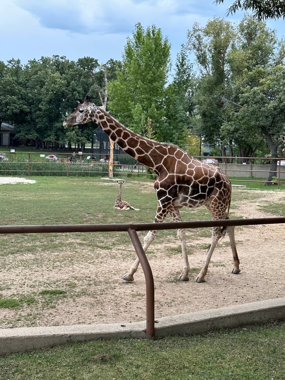 Roosevelt Park Zoo gardens