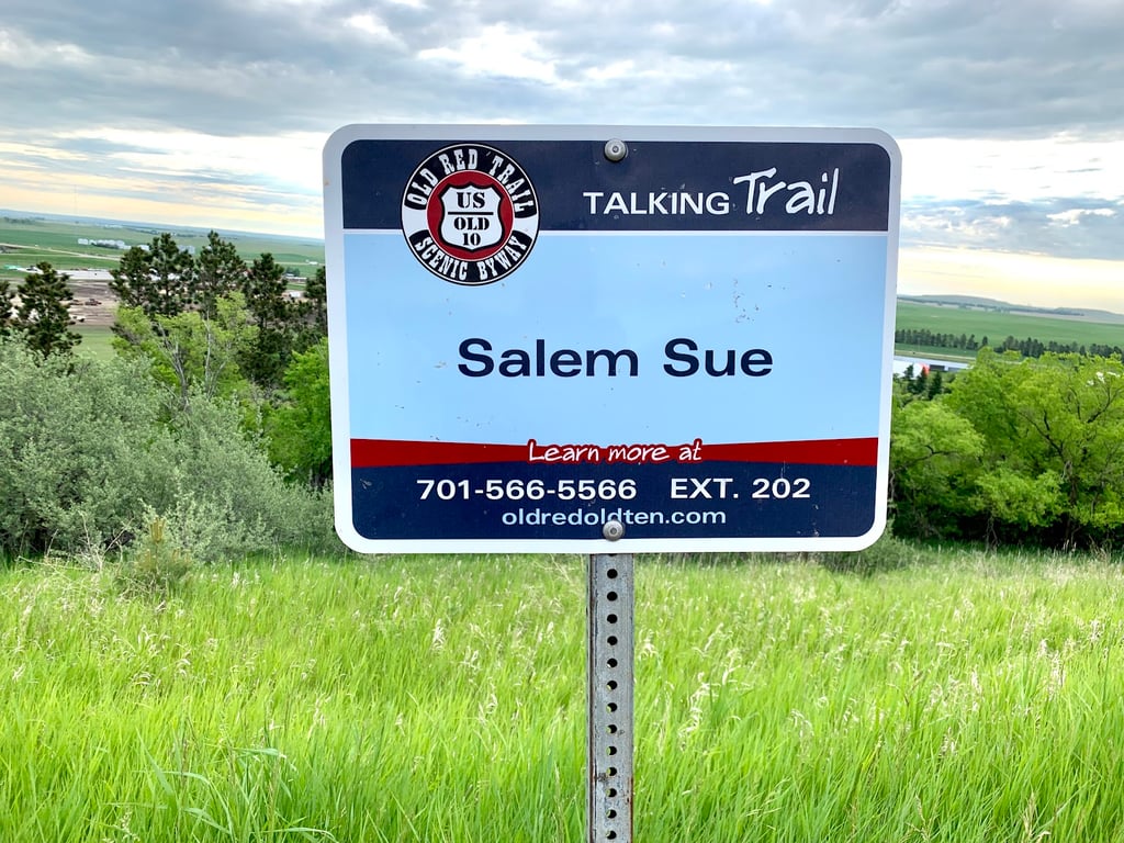 Salem Sue