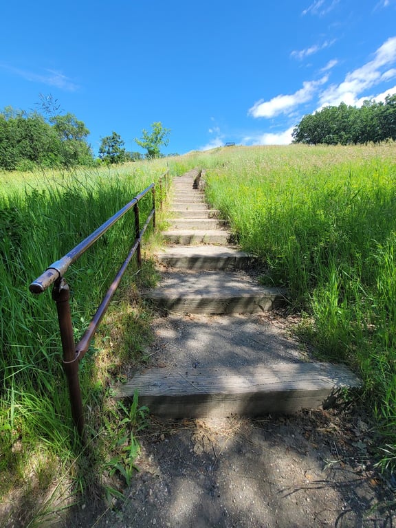 Sullys Hill National Game Preserve