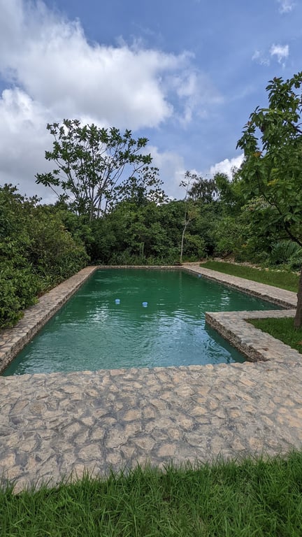 Ntchisi Forest Reserve