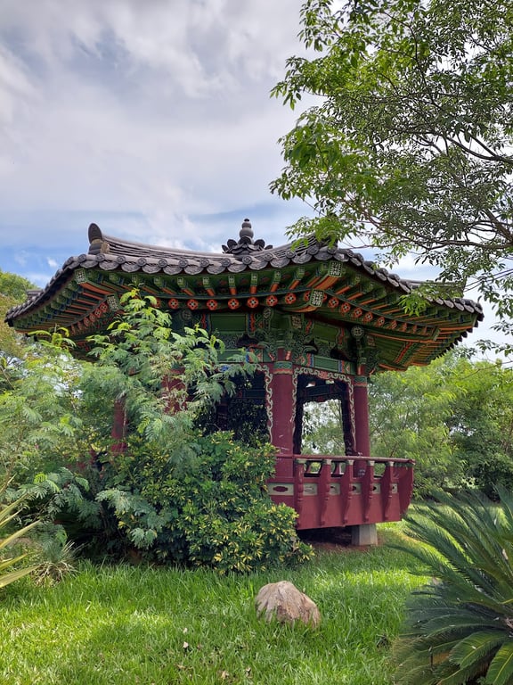 Ñu Guasu Park Viewpoint