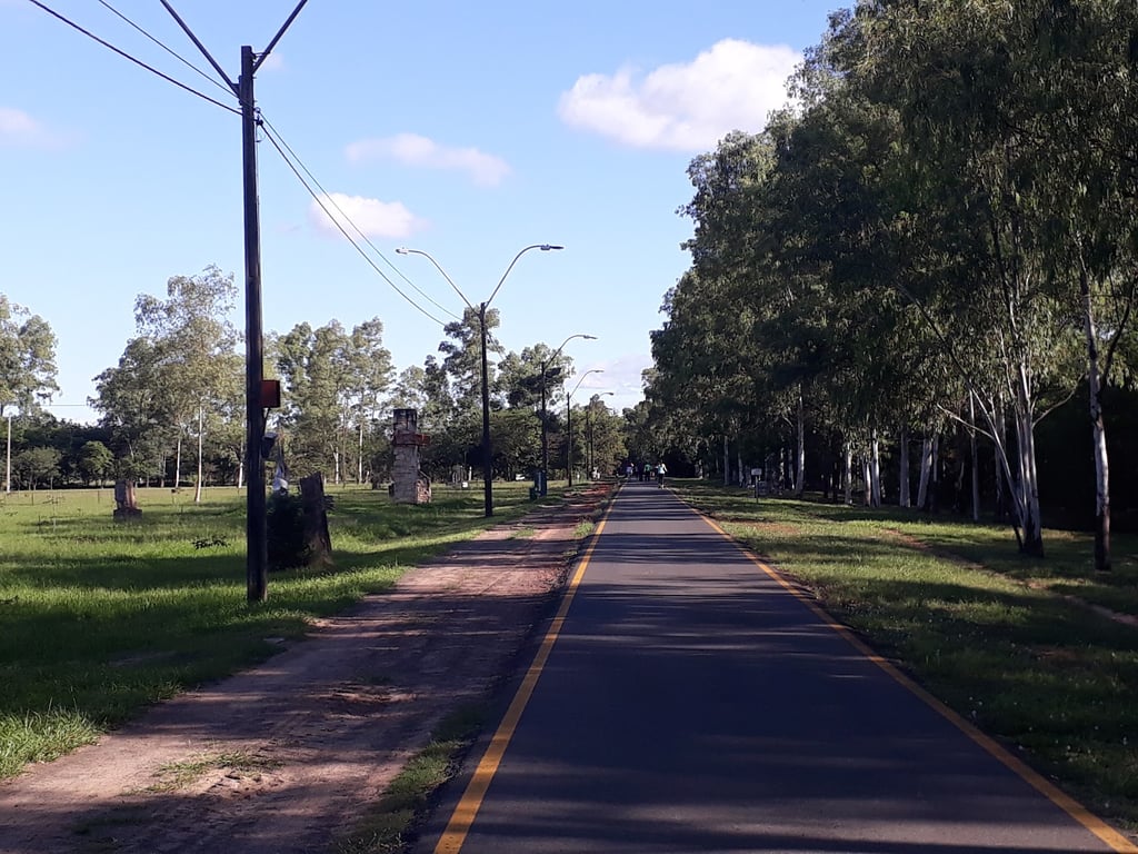 Ñu Guasu Park Viewpoint