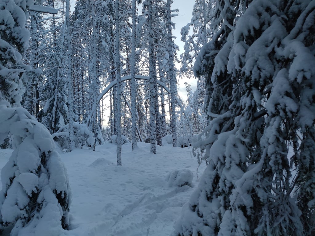 Nuuksio National Park