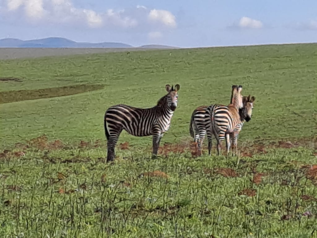 Nyika National Park