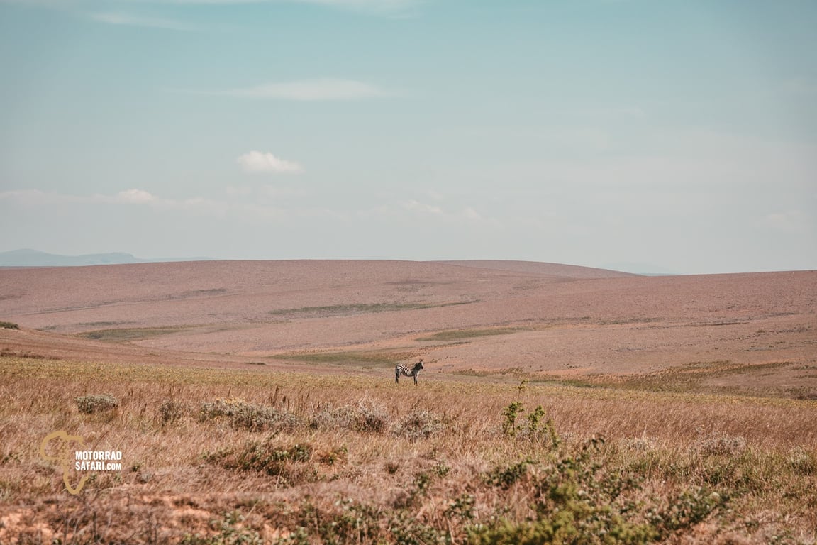 Nyika National Park