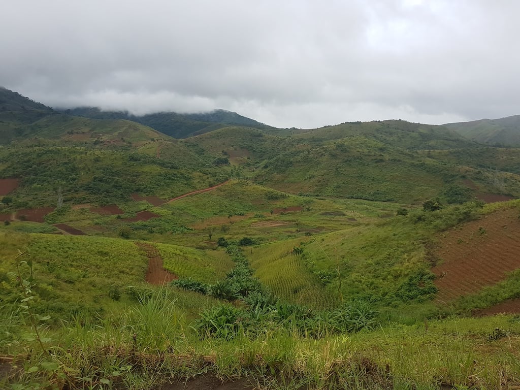 Nyika National Park