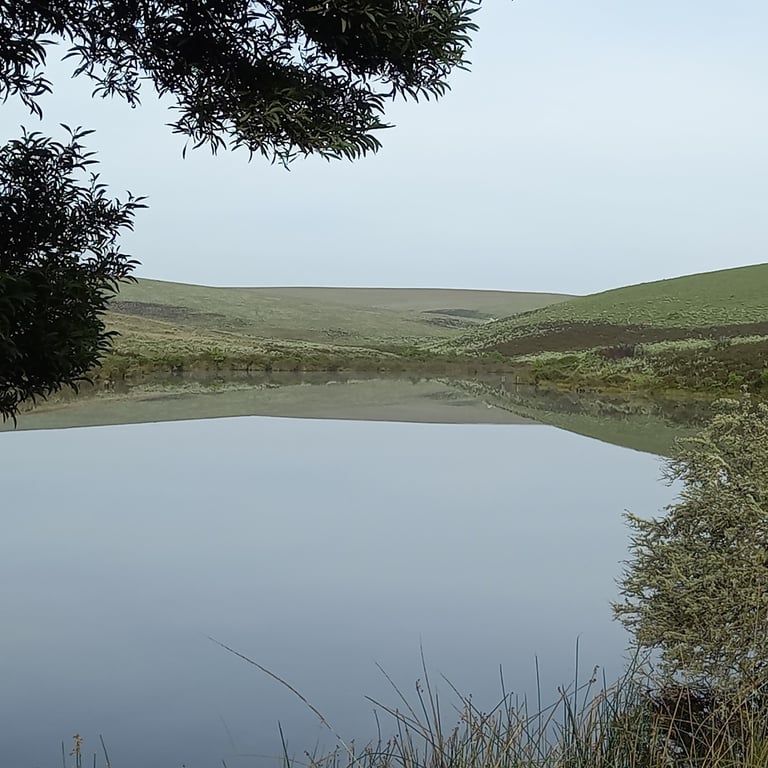 Nyika National Park