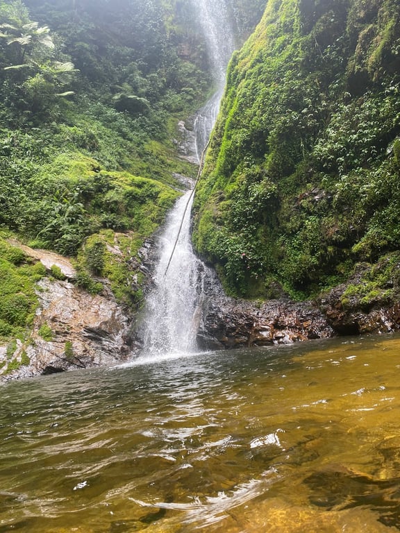 Nyungwe Forest National Park