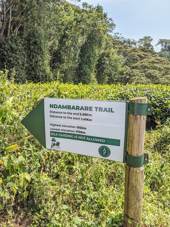 Nyungwe Forest National Park
