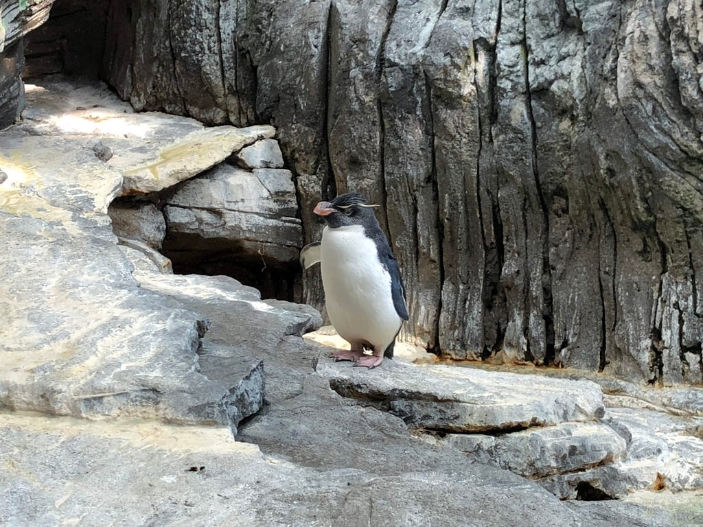 Oceanário de Lisboa Aquarium