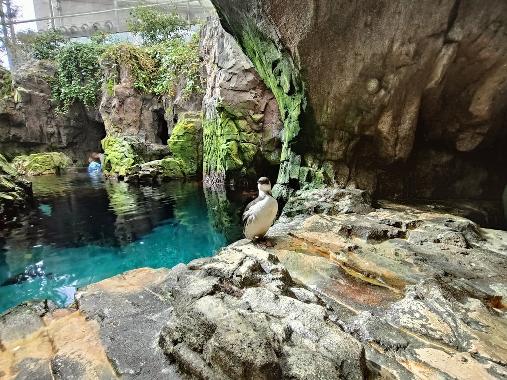 Oceanário de Lisboa Aquarium