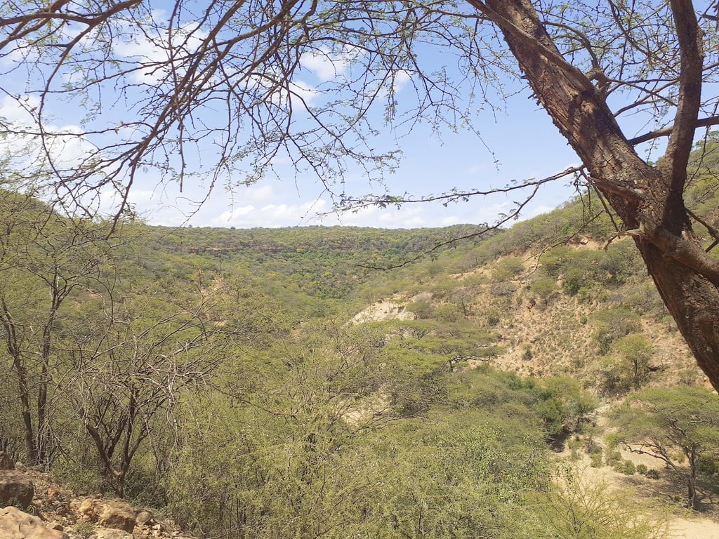 Sof Omar Caves