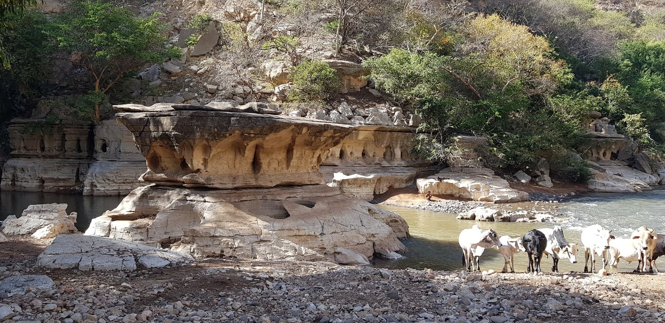 Sof Omar Caves