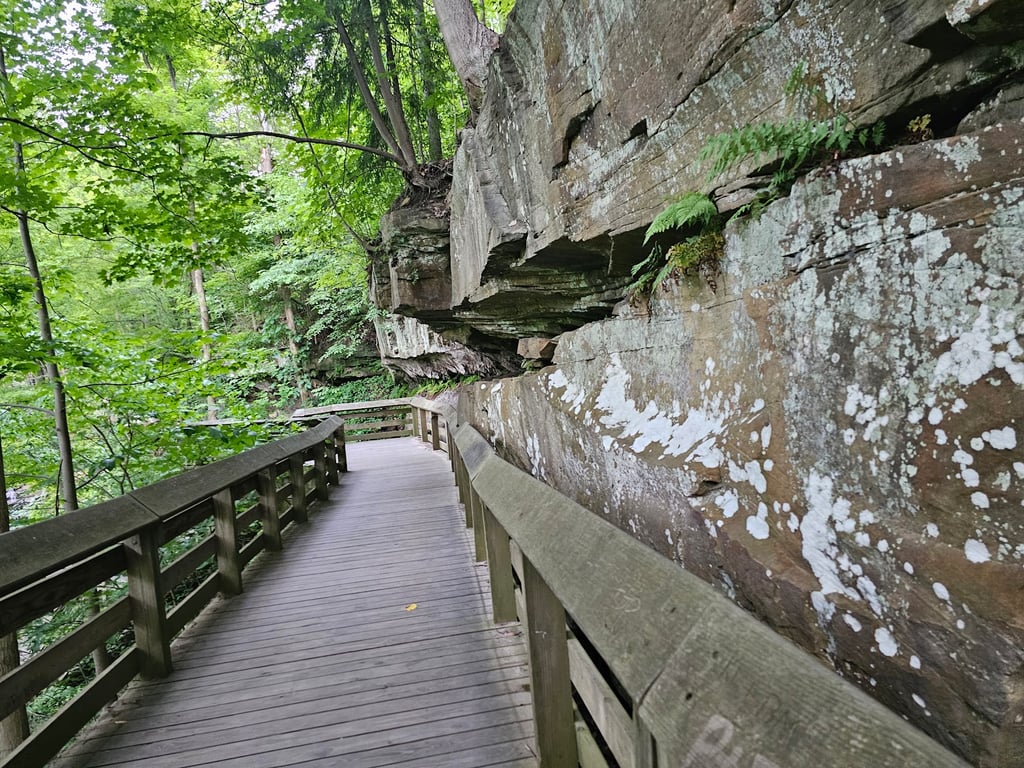 Brandywine Falls