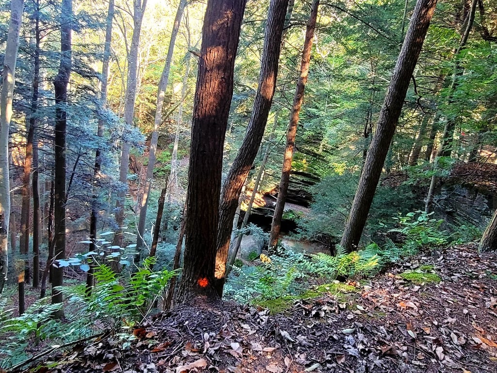 Cantwell Cliffs Overlook