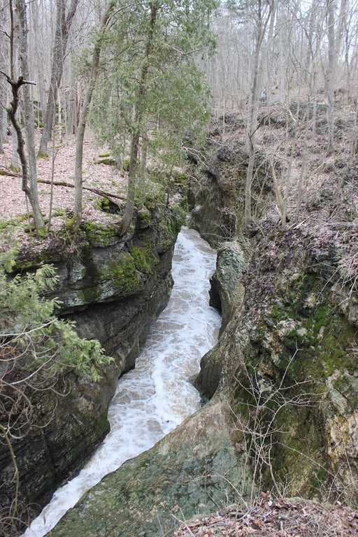 Clifton Gorge