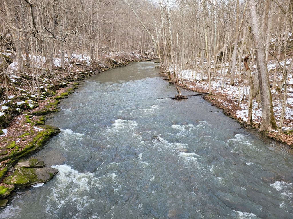 Clifton Gorge