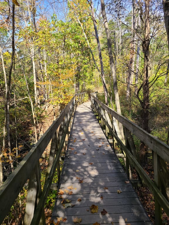 Clifton Gorge