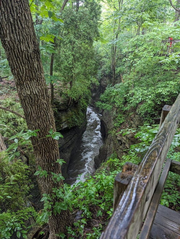 Clifton Gorge