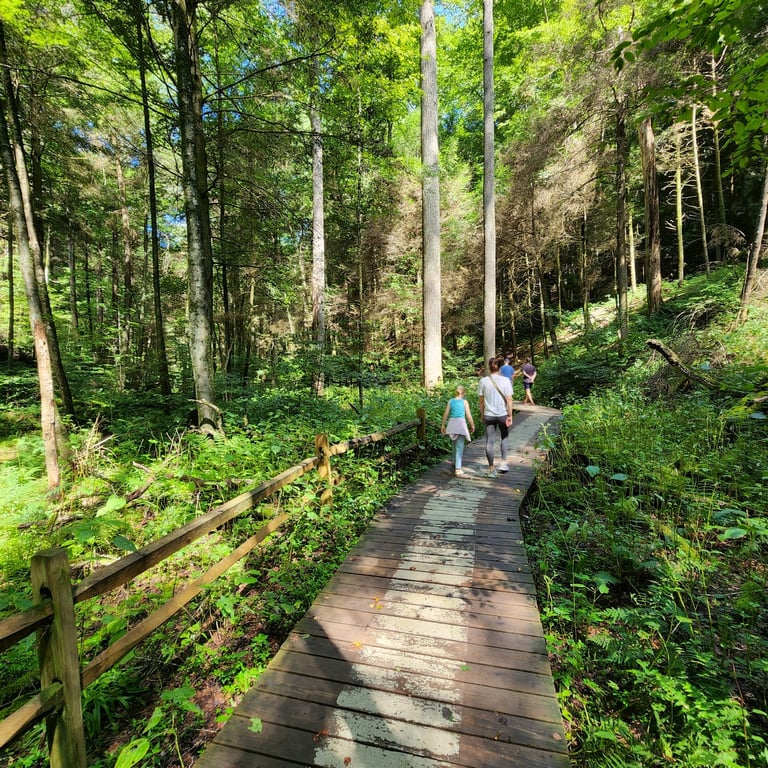 Conkle’s Hollow Rim Trail