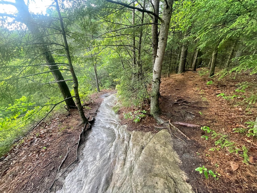 Conkle’s Hollow Rim Trail