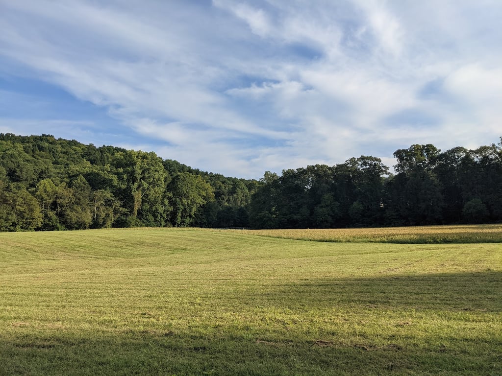 Conkle’s Hollow Rim Trail
