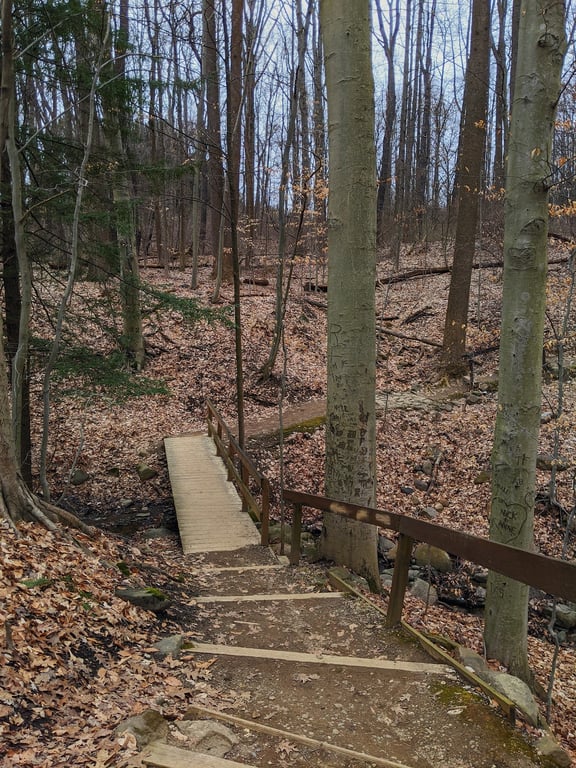 F.A. Seiberling Nature Realm