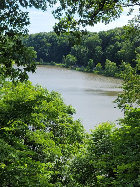 Fellows Riverside Gardens USA