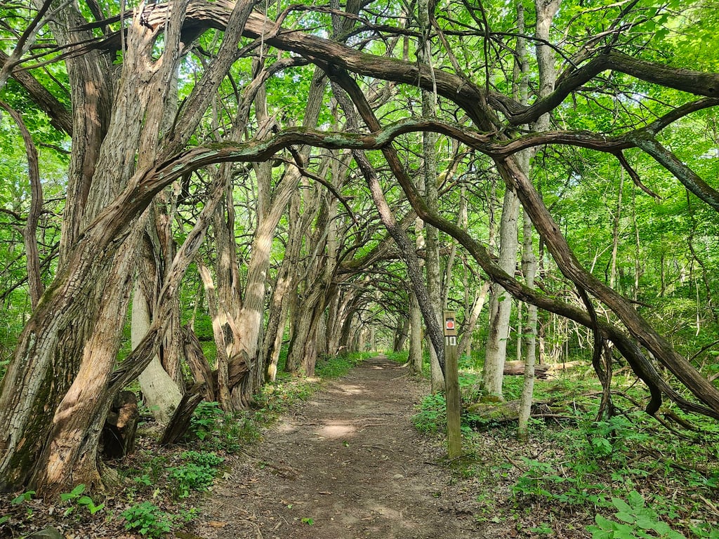 Sugarcreek MetroPark