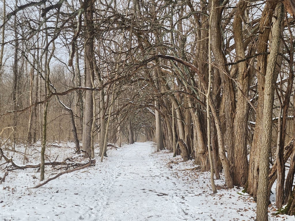 Sugarcreek MetroPark