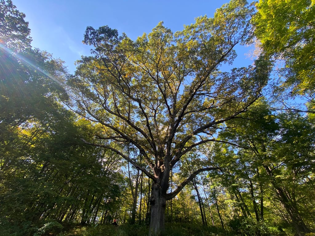 Sugarcreek MetroPark