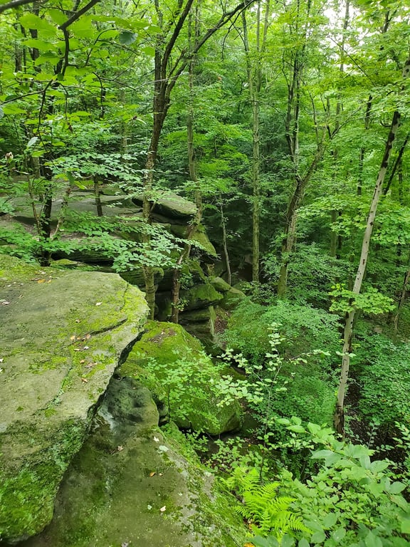 The Ledges Overlook