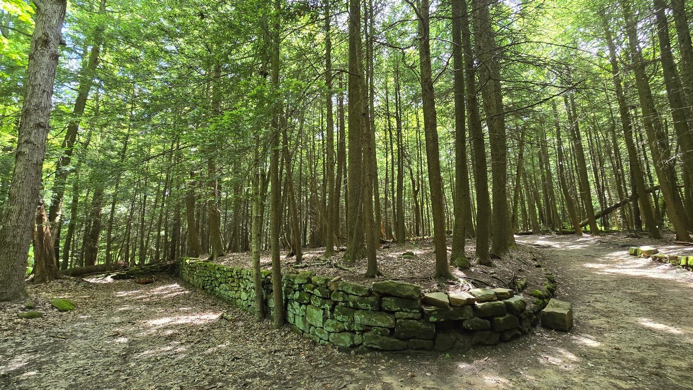 The Ledges Overlook