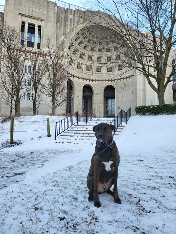 The Ohio Stadium