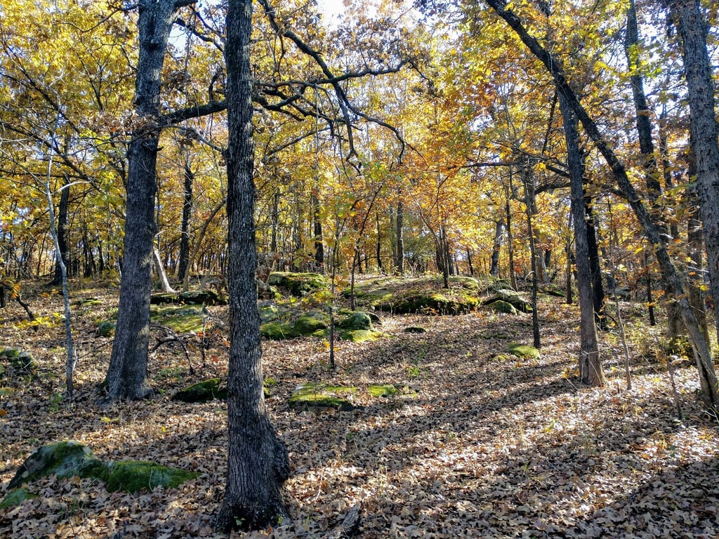 Keystone State Park
