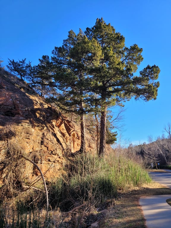 Red Rock Canyon Adventure Park