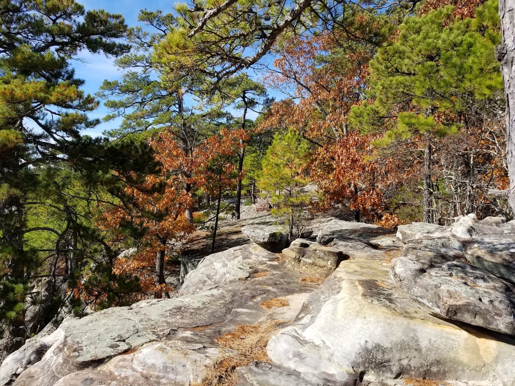 Robbers Cave State Park USA