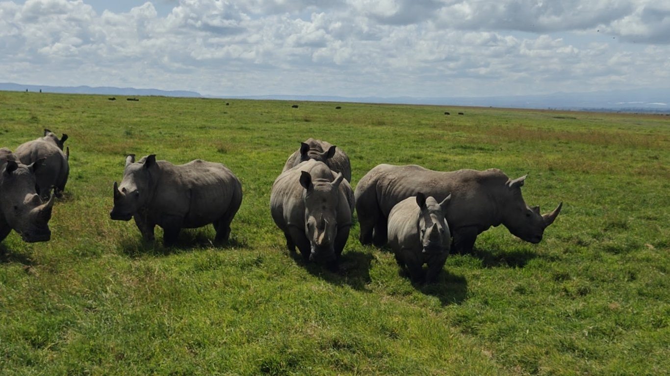 Ol Pejeta Conservancy