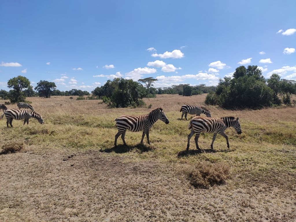 Ol Pejeta Conservancy