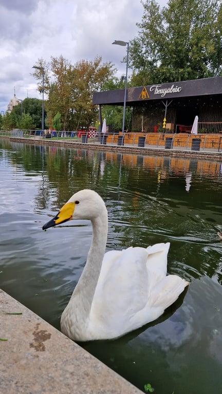 Old City Park & Bazaar