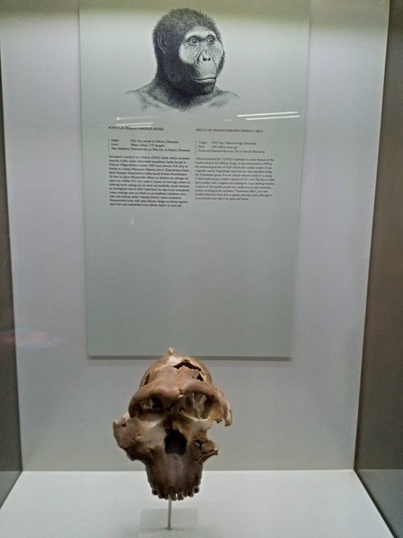 Olduvai Gorge