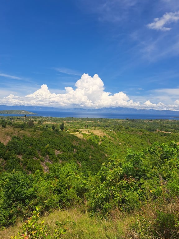 Osmeña Peak