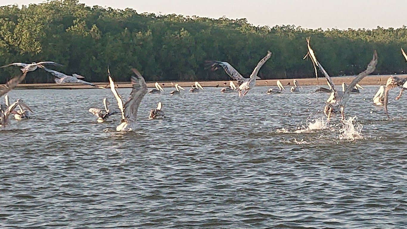 Somone Lagoon
