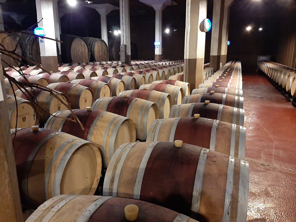 Orahovac Vineyards