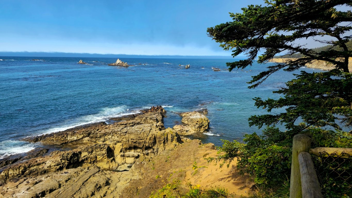 Cape Arago State Park