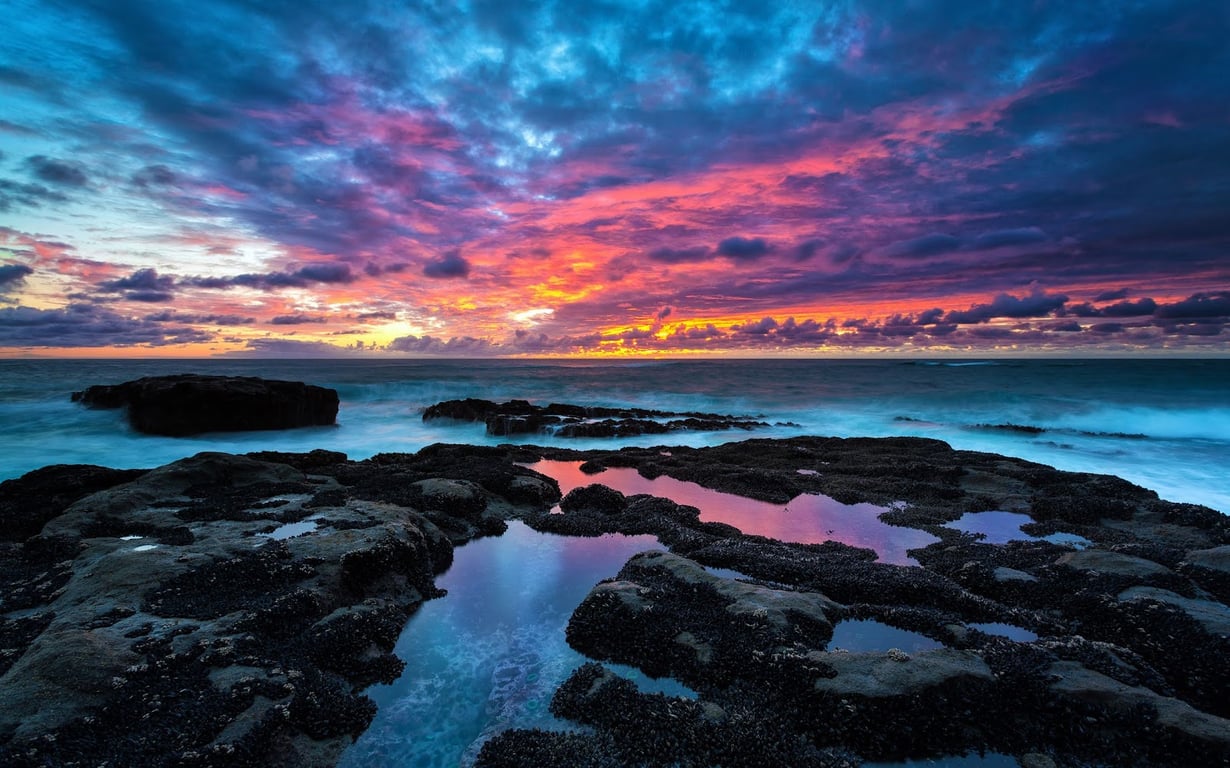 Cape Arago State Park