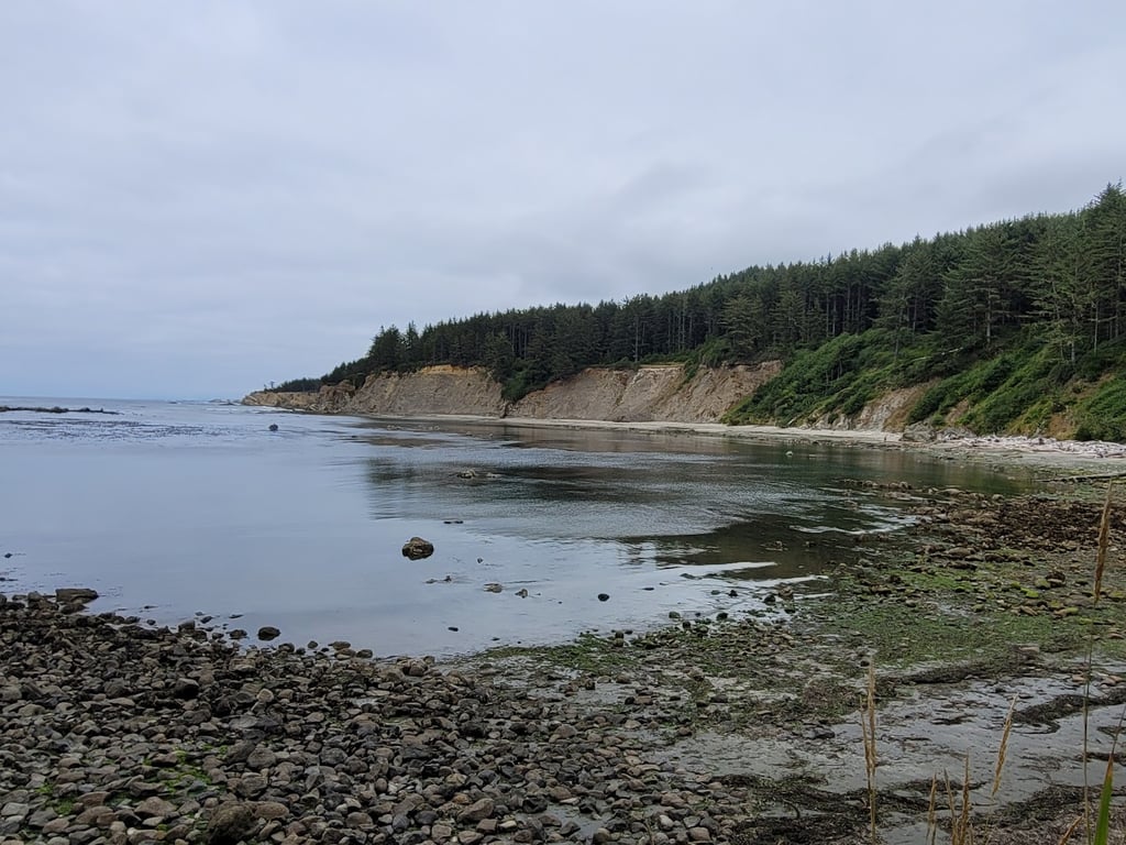 Cape Arago State Park