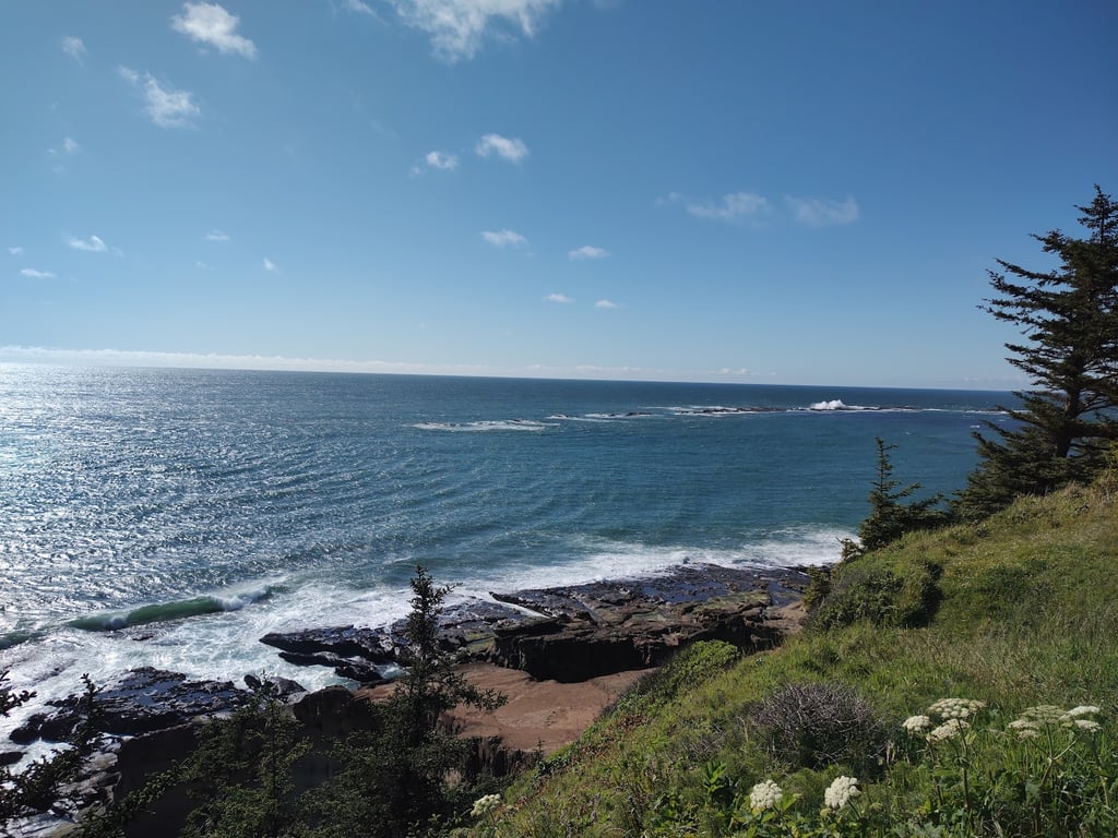 Cape Arago State Park