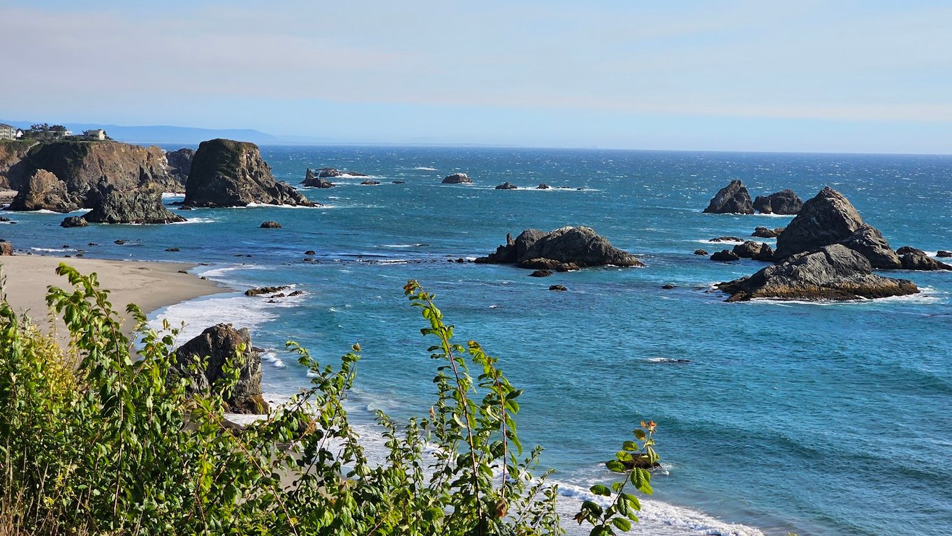 Harris Beach State Park